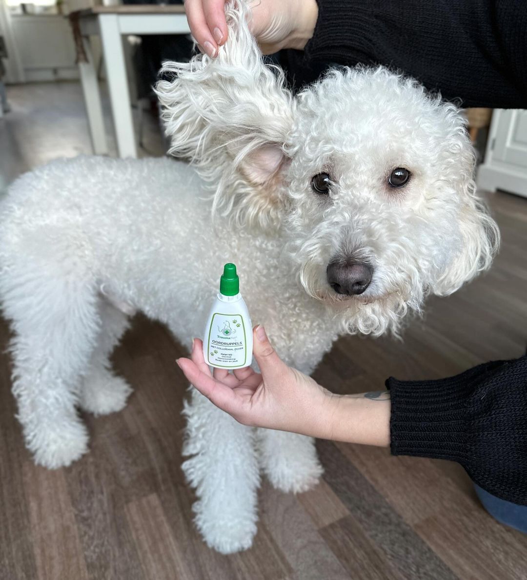 TraumaPet Ohrentropfen mit kolloidalem Silber