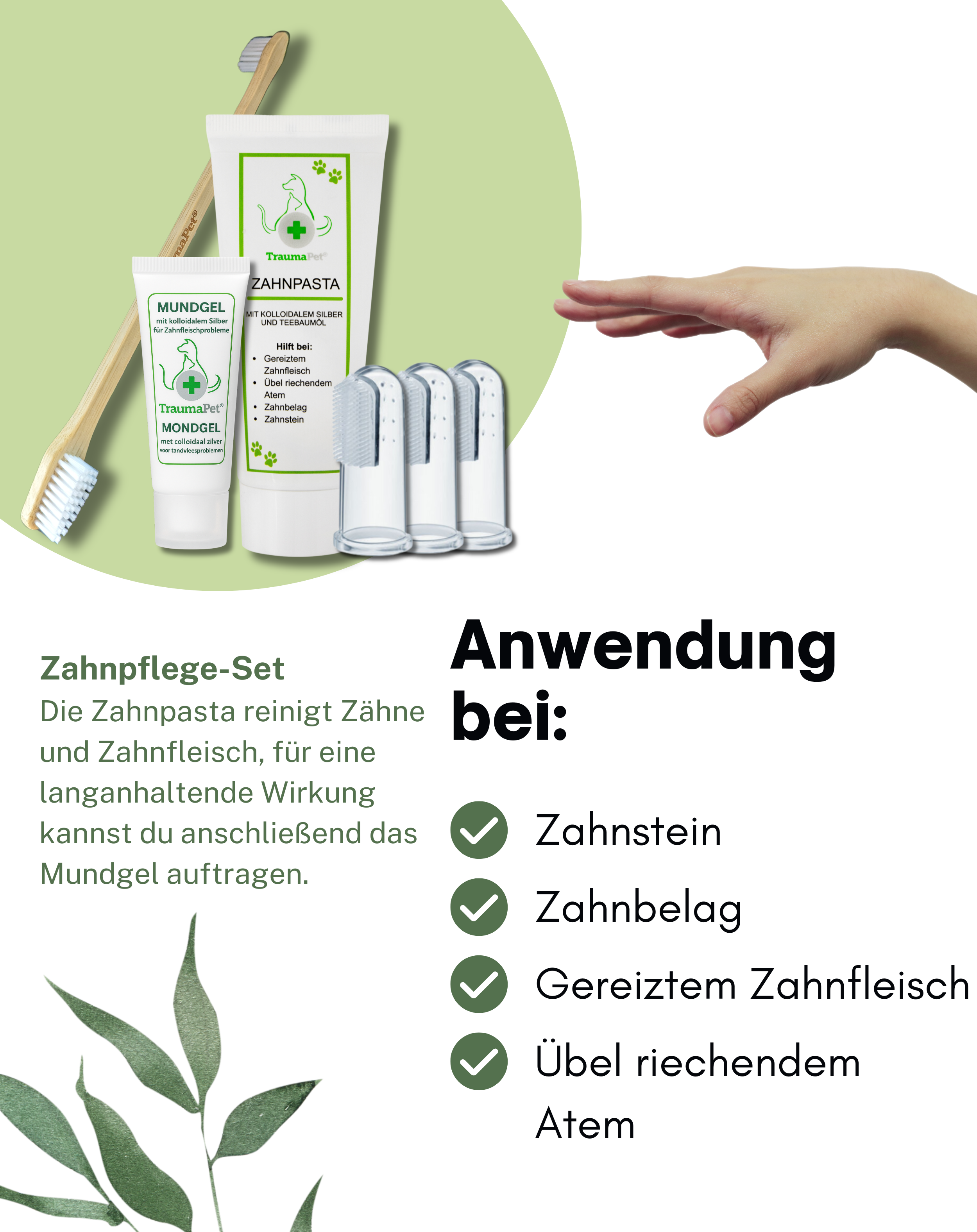 Zahnpflege-Set