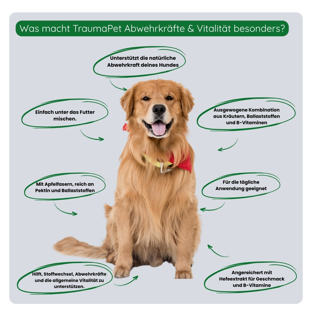 Anwendung von TraumaPet Botanicals Immunsystem & Vitalität durch Mischen mit dem Futter für die tägliche Unterstützung