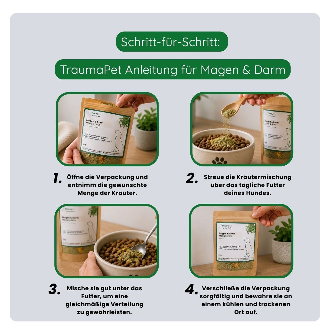 TraumaPet Botanicals Magen & Darm unterstützt Darmflora, Verdauung und empfindlichen Magen