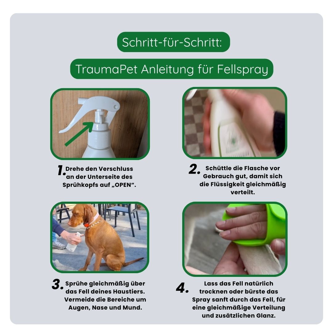 Schritt-für-Schritt-Anleitung zur Anwendung des TraumaPet Fellsprays, gleichmäßig aufsprühen und sanft einmassieren für eine optimale Wirkung.