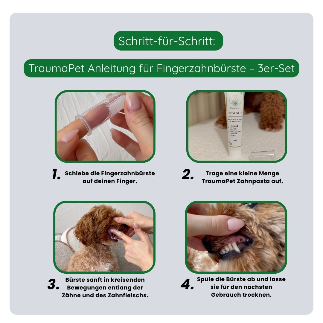 So benutzt du die TraumaPet Fingerzahnbürste: Bürste über den Finger ziehen, Zahnpasta auftragen und ruhig putzen für eine optimale Mundpflege.