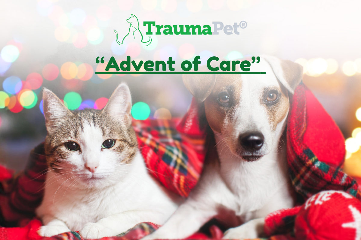TraumaPet Advent of Care 2025