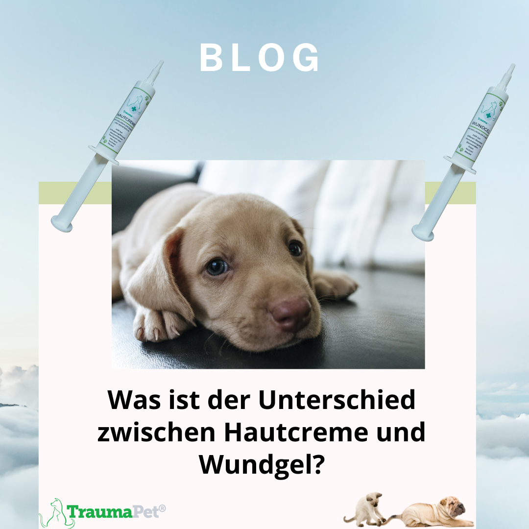 Was ist der Unterschied zwischen Hautcreme und Wundgel?