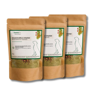 Botanicals Abwehrkräfte & Vitalität Vorteilspack
