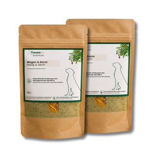 Botanicals Magen & Darm Duopack