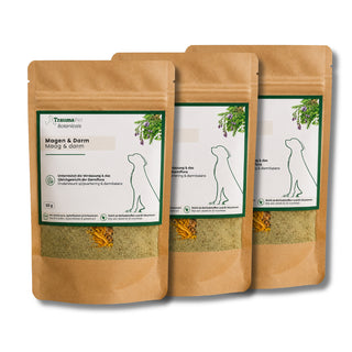 Botanicals Magen & Darm Vorteilspack