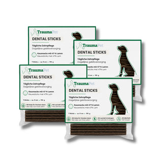 Dental Sticks 4er-Pack