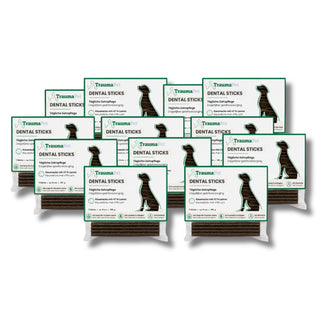 Dental Sticks Vorteilspack – 12 Packungen