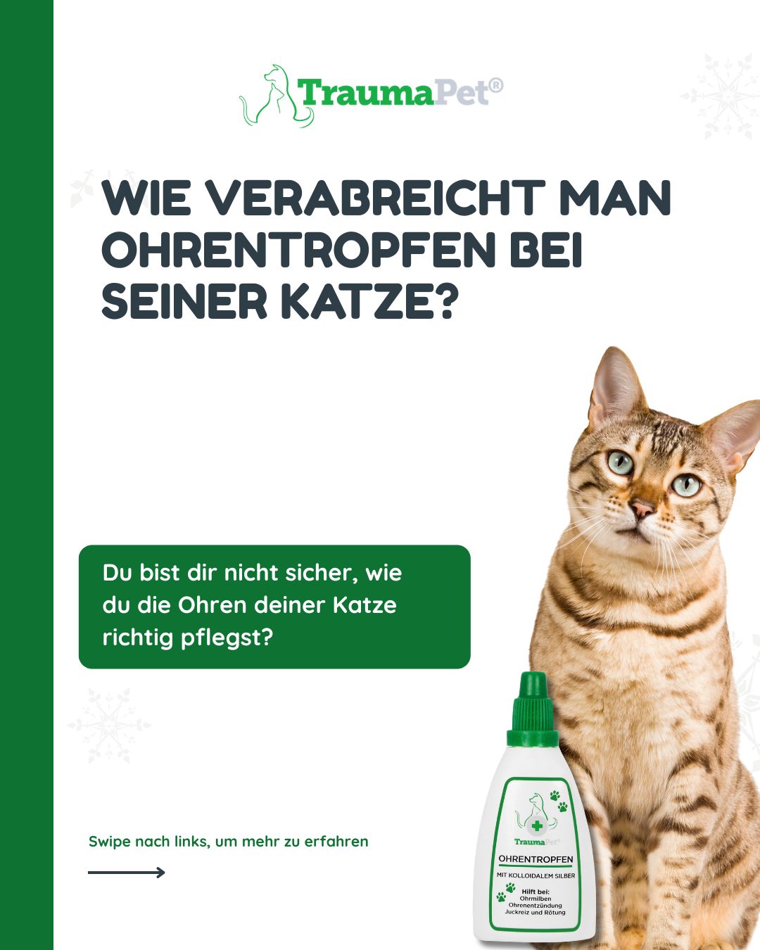 Ohrentropfen bei Katzen — Schritt-für-Schritt-Erklärung, wie du Ohrentropfen sicher anwendest und die Ohren reinigst, ohne Stress oder Angst zu verursachen.