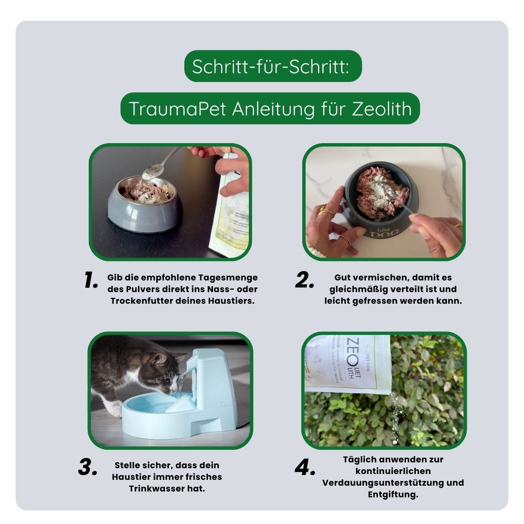 Schritt-für-Schritt-Anleitung zur richtigen Anwendung von Pet-Gen Zeolith: empfohlene Menge abmessen, unter das Futter mischen und täglich zur optimalen Unterstützung geben.