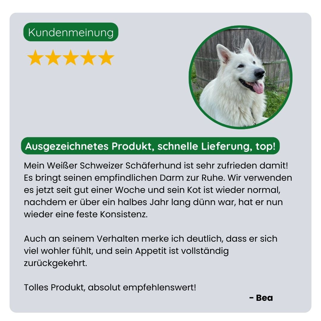 Kundin teilt ihre positive Erfahrung mit Pet-Gen Zeolith: weniger Magen-Darm-Beschwerden, ruhigere Verdauung und verbesserte Kotkonsistenz beim Haustier.