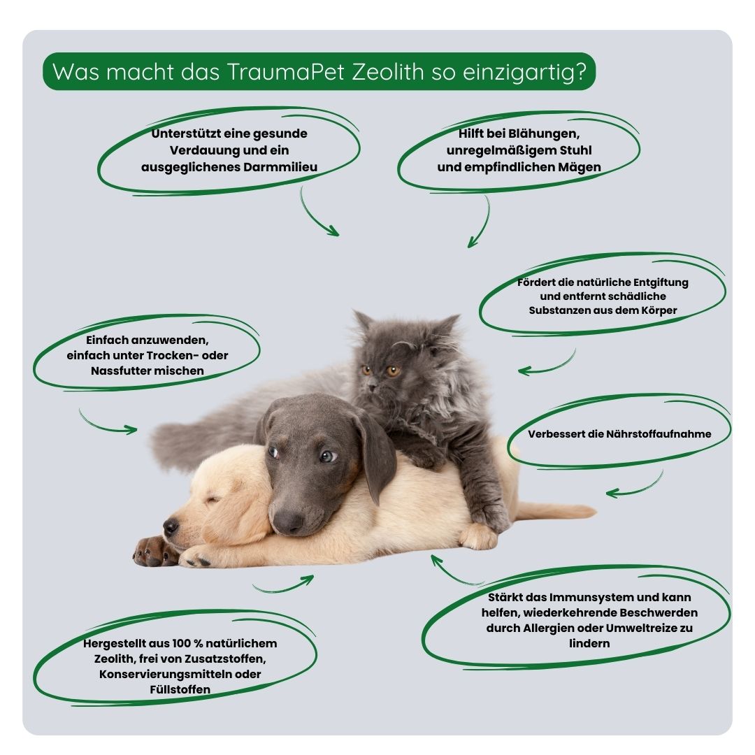 Übersicht der Vorteile von Pet-Gen Zeolith: unterstützt die Darmgesundheit, bindet Toxine, lindert Magen-Darm-Beschwerden und fördert einen gesunden Stuhlgang.