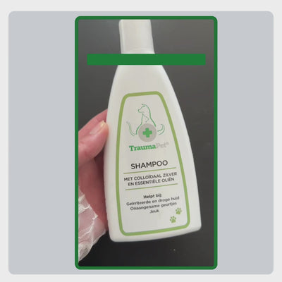 Video mit Erklärung zur Anwendung des TraumaPet Shampoos, Fell anfeuchten, Shampoo einmassieren, einige Minuten einwirken lassen und gründlich ausspülen.