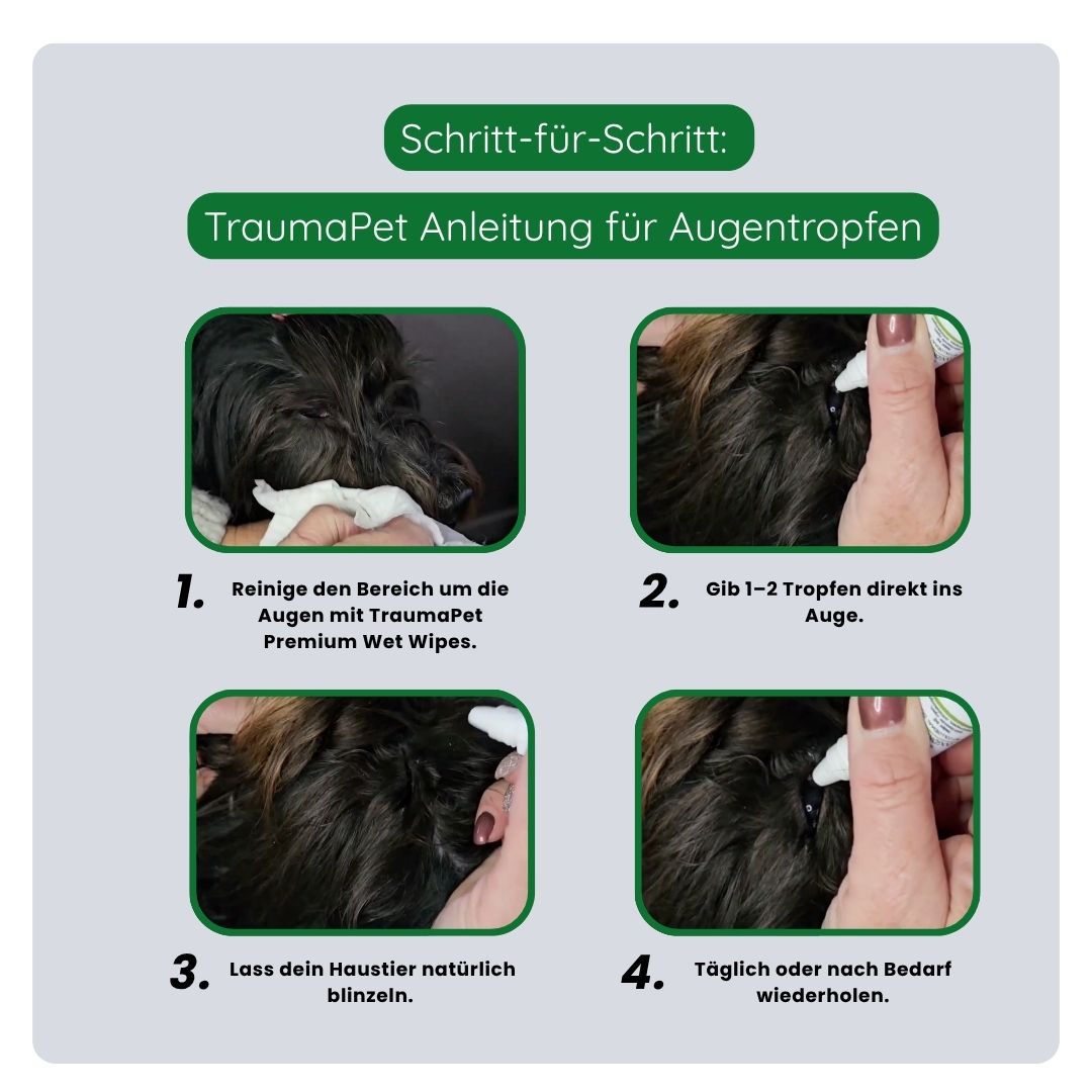 Anwendung des TraumaPet Frühling & Sommer Sets mit täglicher und regelmäßiger Pflegeroutine für optimalen Schutz
