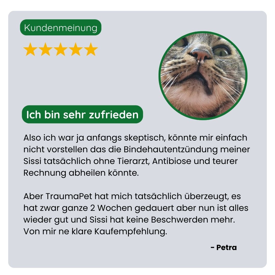 Zufriedene Kundin teilt ihre Erfahrung mit TraumaPet Augentropfen – schnelle Linderung bei Rötungen, tränenden Augen und Reizungen.