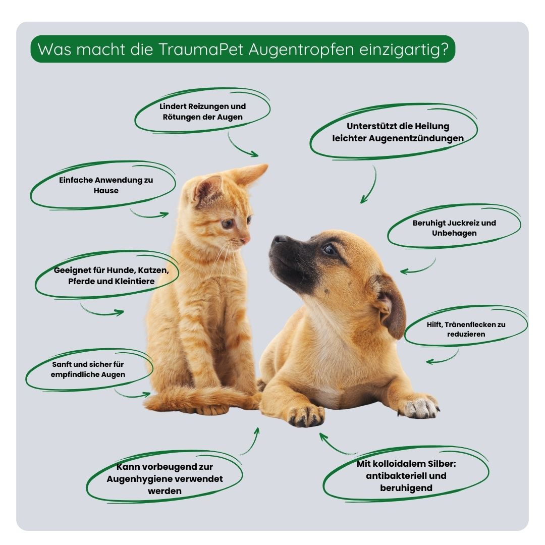 Übersicht der Vorteile der TraumaPet Augentropfen: reduzieren Rötungen, reinigen die Augen, unterstützen die Regeneration und beugen neuen Reizungen bei Haustieren vor.