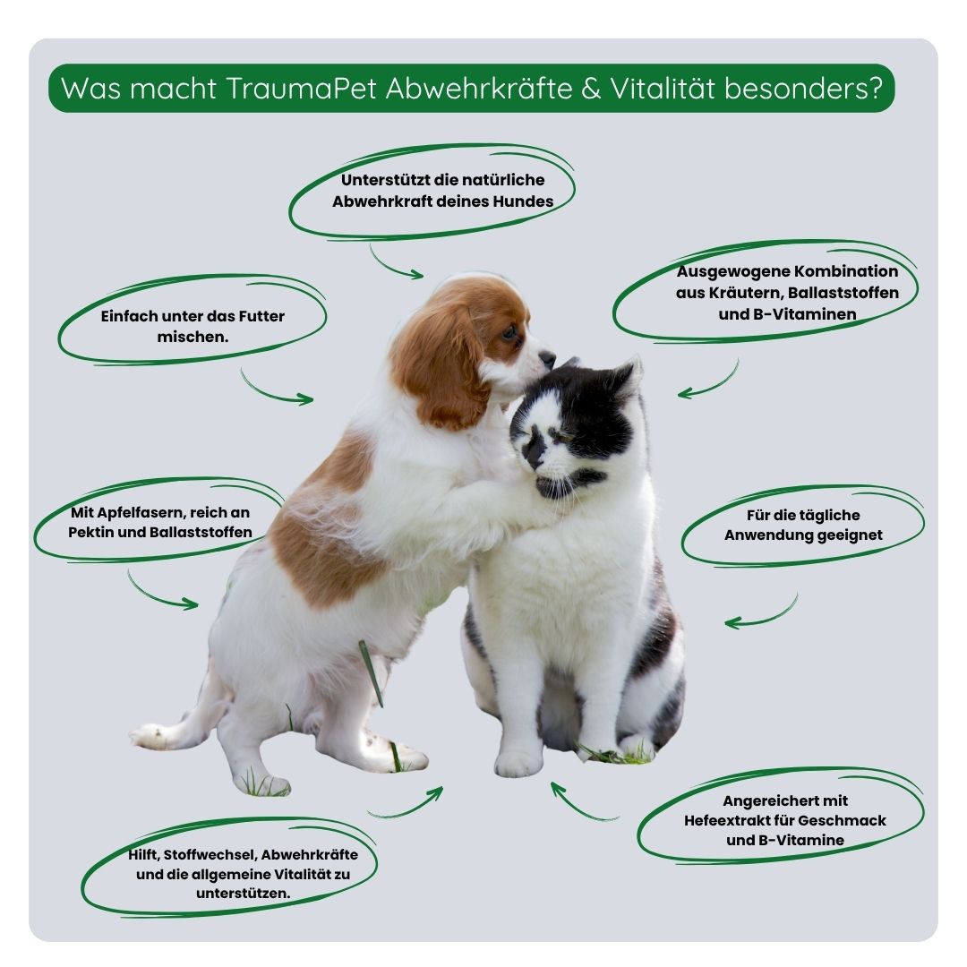 Anwendung von TraumaPet Botanicals Immunsystem & Vitalität durch Mischen mit dem Futter für die tägliche Unterstützung