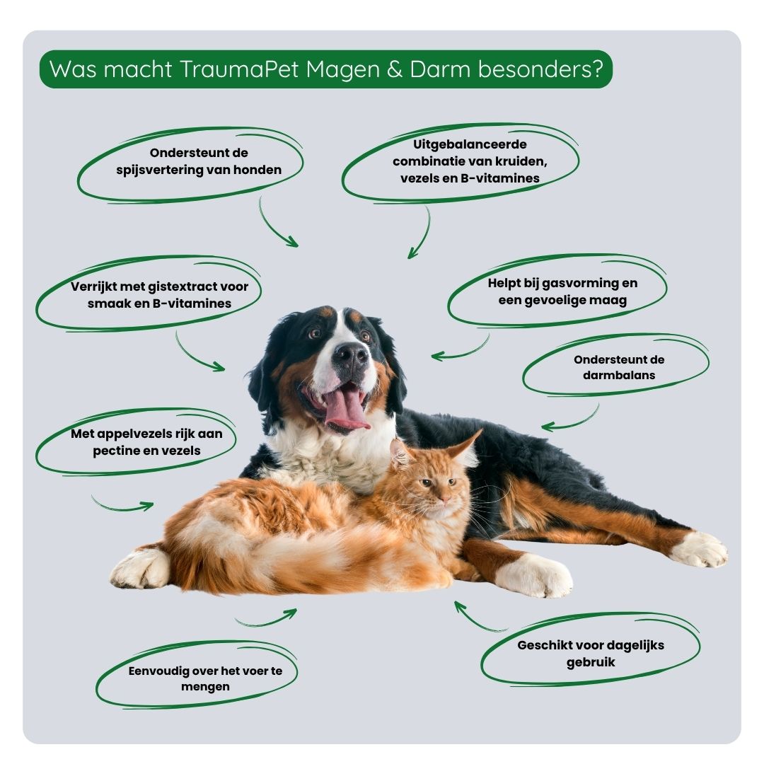 Anwendung von TraumaPet Botanicals Magen & Darm durch Mischen mit dem Futter für die tägliche Unterstützung