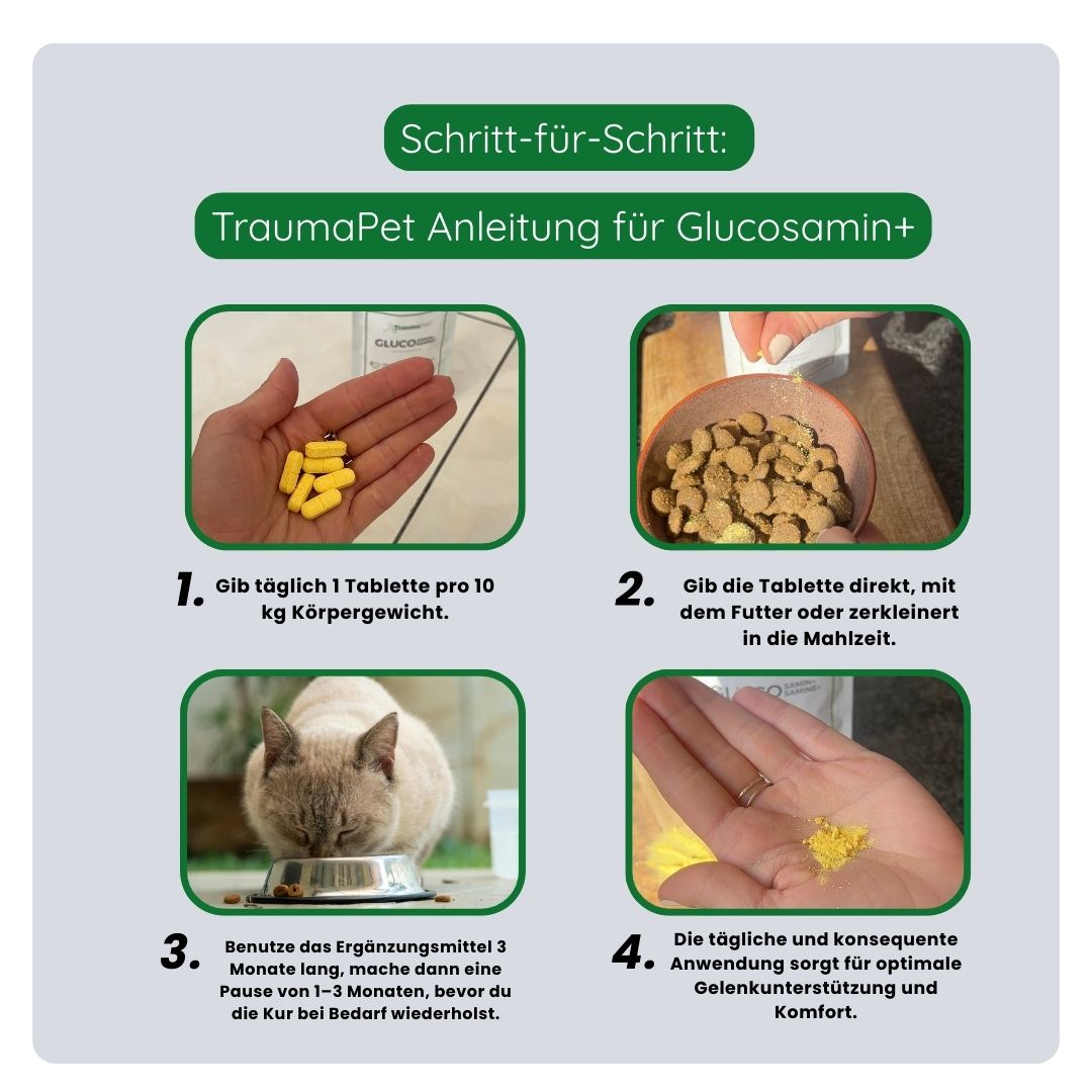 Schritt-für-Schritt-Anleitung zur richtigen Anwendung von TraumaPet Glucosamin+. Tägliche Menge abmessen, unter das Futter mischen und konsequent für eine langfristige Unterstützung geben.
