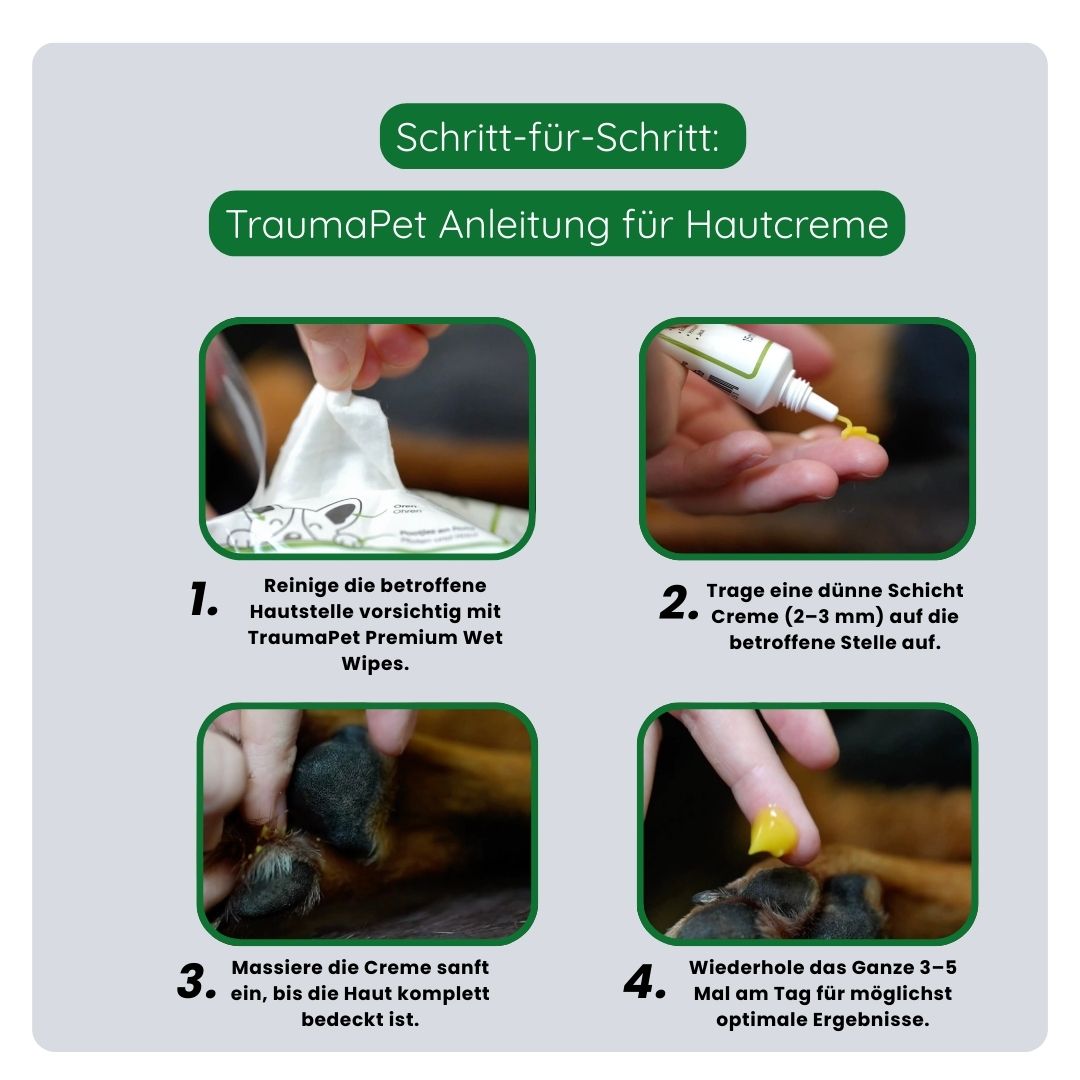 Schritt-für-Schritt-Anleitung zur korrekten Anwendung der TraumaPet Hautcreme: Haut reinigen, Creme auf gereizte Stellen auftragen und sanft einmassieren für eine langanhaltende Pflege.