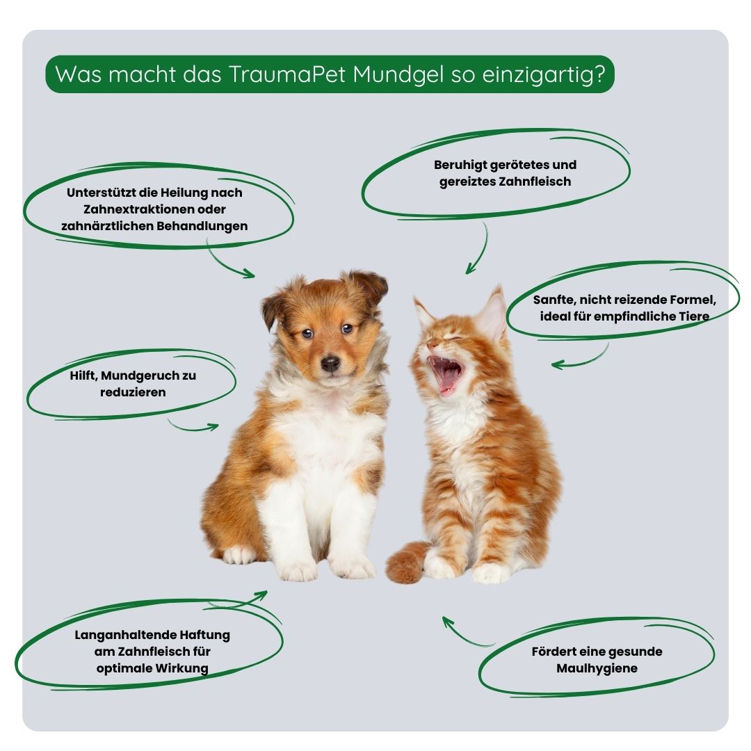 Übersicht der Vorteile des TraumaPet Mundgels: beruhigt das Zahnfleisch, unterstützt die Regeneration, hilft das Bakterienwachstum zu reduzieren und fördert eine gesunde Maulflora.