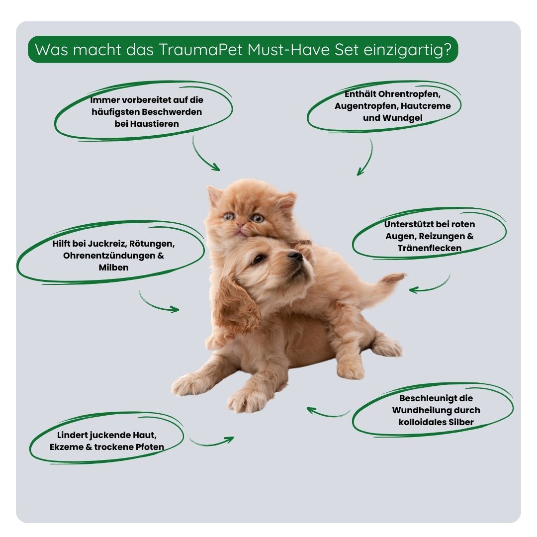 Übersicht der Vorteile des TraumaPet Must-have Sets: rundum vorbereitet, vielseitig einsetzbar, ideal für Zuhause und unterwegs und geeignet für alle Haustiere.