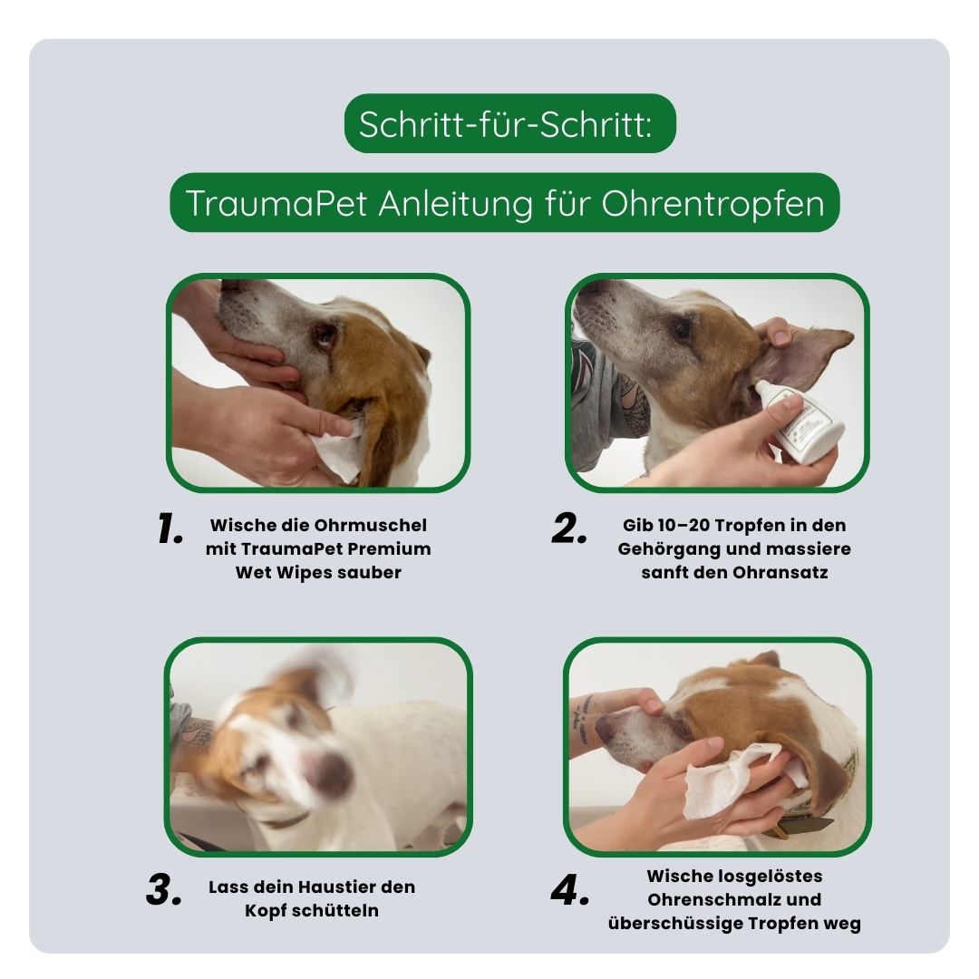 Erklärung zur korrekten Anwendung der TraumaPet Ohrentropfen: Reinigung mit TraumaPet Wet Wipes, Tropfen ins Ohr geben und sanft einmassieren.