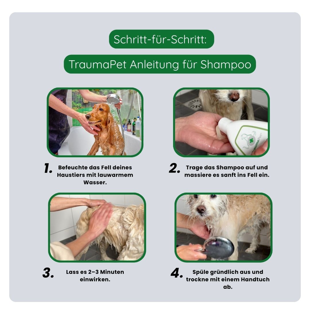 Schritt-für-Schritt-Anleitung zur korrekten Anwendung des TraumaPet Shampoos, Fell anfeuchten, Shampoo gleichmäßig verteilen, einmassieren und sorgfältig ausspülen.