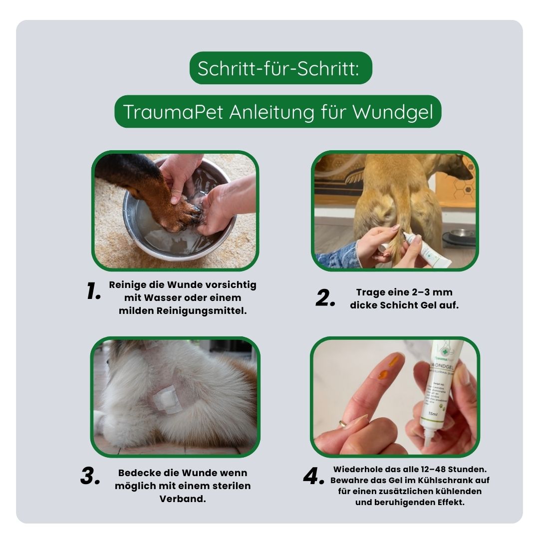 Schritt-für-Schritt-Anleitung zur korrekten Anwendung des TraumaPet Wundgels, Schmutz entfernen, Gel auftragen, Wunde schützen und alle 12–48 Stunden wiederholen.