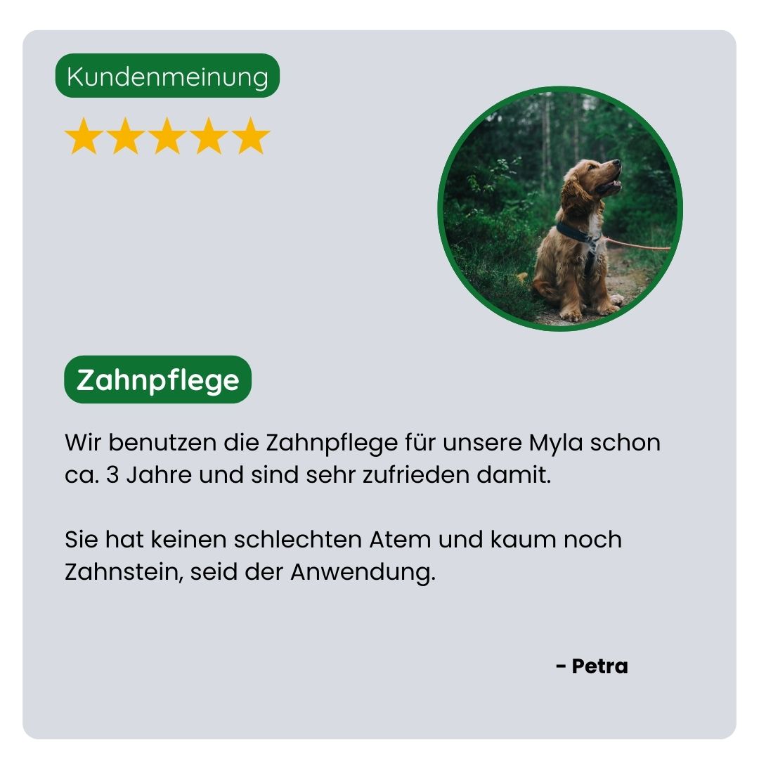 Kunde teilt positive Erfahrung mit dem TraumaPet Zahnpflege-Set: weniger Zahnbelag, frischerer Atem und sichtbar gesünderes Zahnfleisch bei ihrem Haustier.