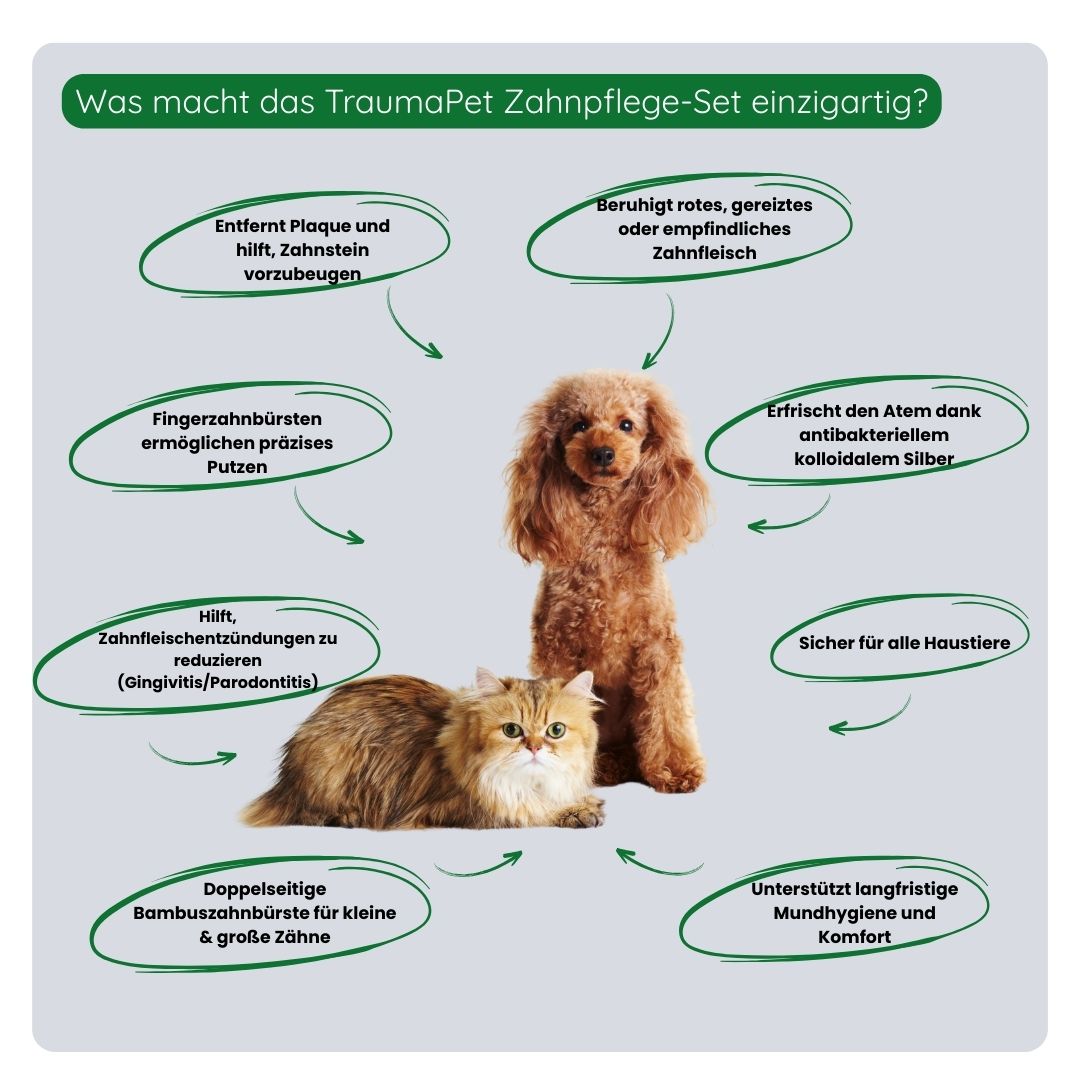 Übersicht über die Vorteile des TraumaPet Zahnpflege-Sets: vollständige Mundpflege, hilft Zahnbelag und Zahnstein zu reduzieren, unterstützt gesundes Zahnfleisch und sorgt für frischen Atem.