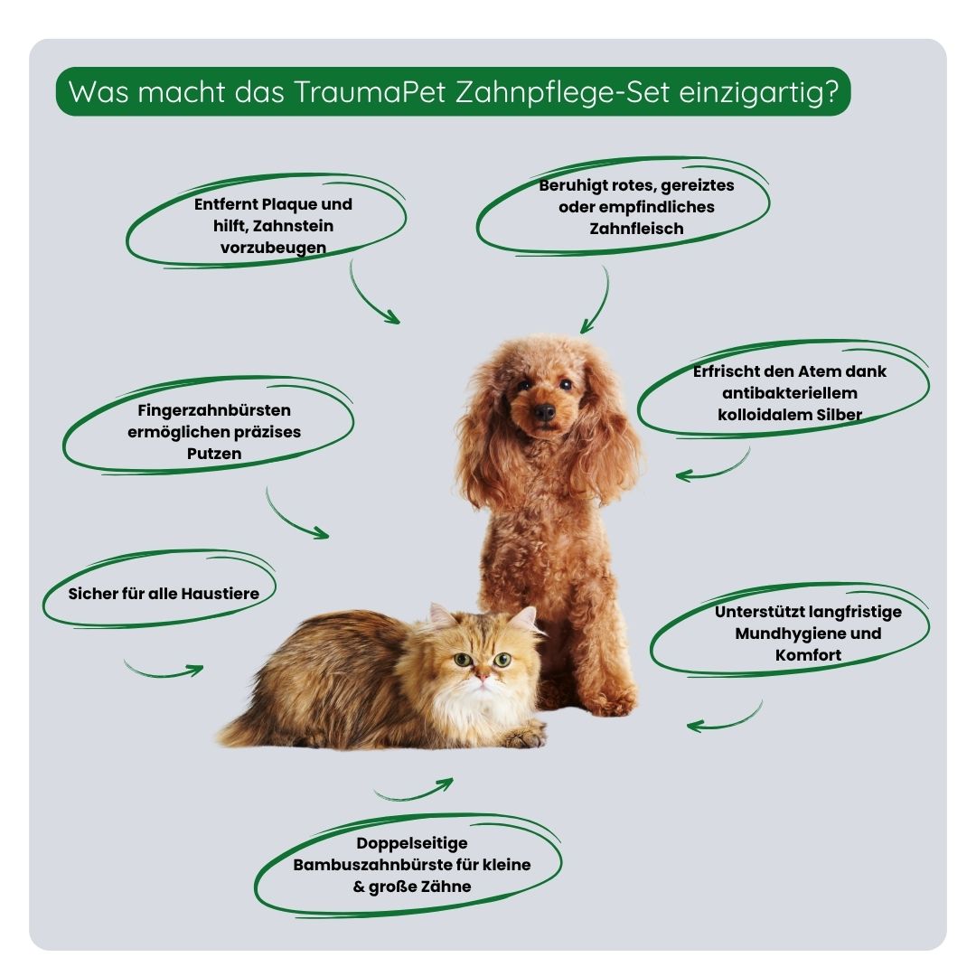 Übersicht über die Vorteile des TraumaPet Zahnpflege-Sets: vollständige Mundpflege, hilft Zahnbelag und Zahnstein zu reduzieren, unterstützt gesundes Zahnfleisch und sorgt für frischen Atem.